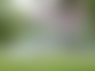 Reframing Water Use After the LA Fires