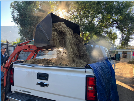 From Waste to Wisdom: Composting Breakthrough in Fire-Impacted Altadena