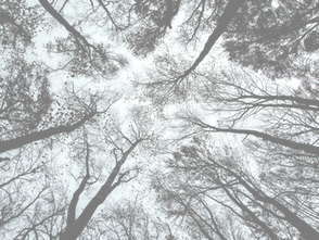 Coreografia Invisível