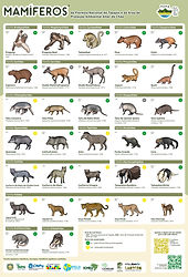 Guia de mamíferos A2 - 42 x 59,4 cm.jpg