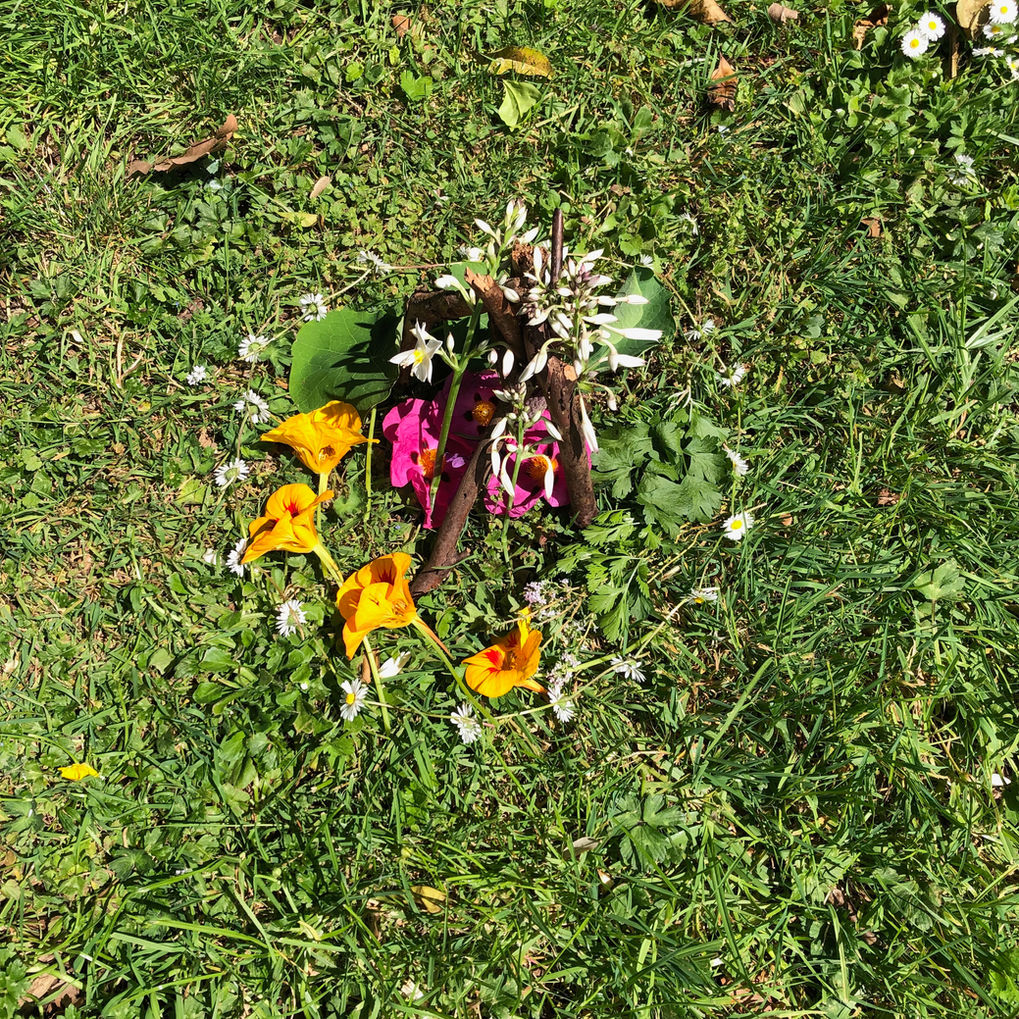 IMG_2134.jpeg