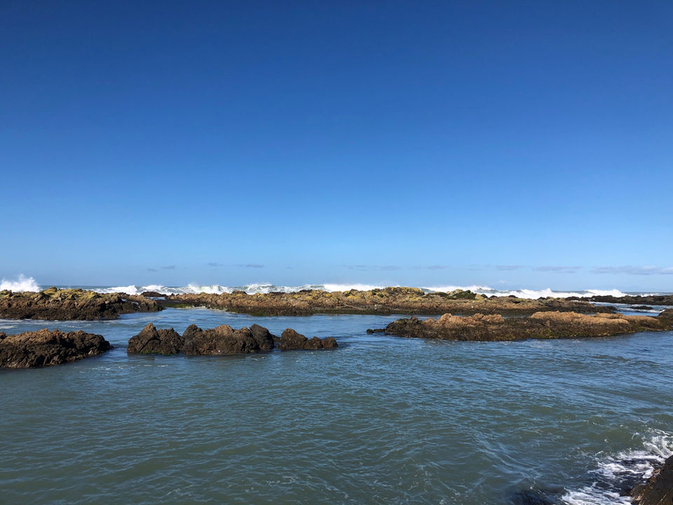 IMG_6310.jpeg