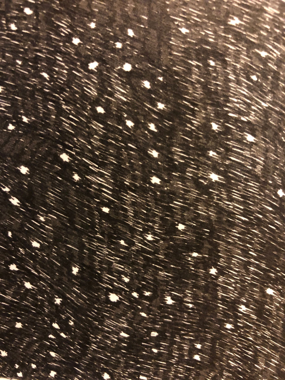 IMG_6098.jpeg