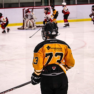 Tigre Victoriaville