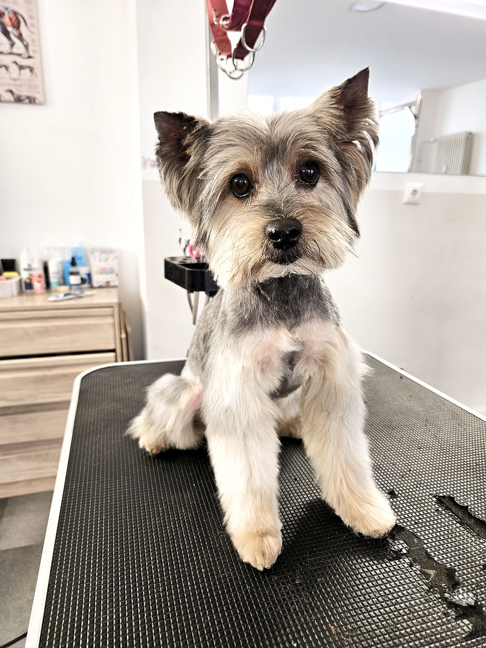 IMG-20260325-WA0066_edited