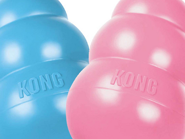 Screen Shot 2022-11-09 at 5.19.33 PM.png