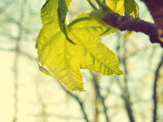 Learn how to free yourself from anxieties with these easy steps: Byron Katie's 4 Questions 