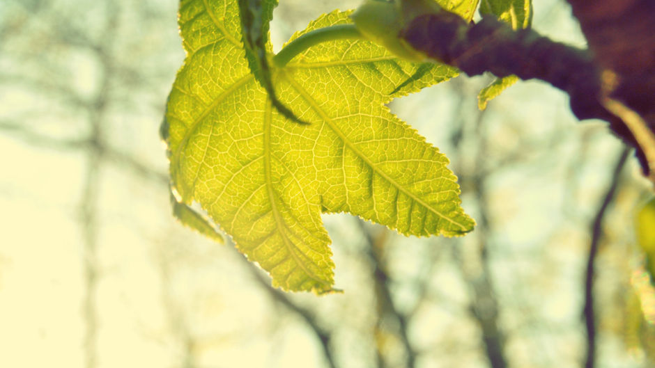 Learn how to free yourself from anxieties with these 8 easy steps