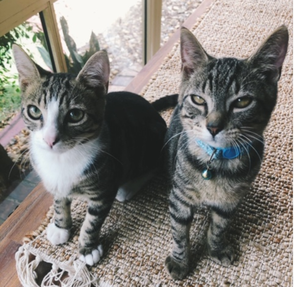 Hootie & Luca