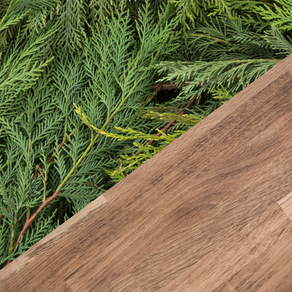 evergreen tree branches with wooden tabletop