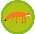 Vos