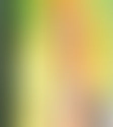 Michela Fabeni Art Gallery | Marilyn Monroe between Pop and Matter: a timeless icon in the Sculptural Portrait  | Contemporary Bas-Reliefs