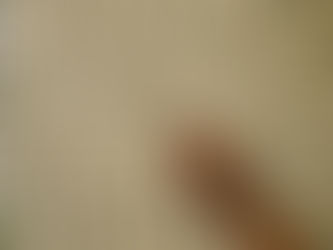 Michela Fabeni Art Gallery The Sunflower and the Hidden Order of Nature: When Mathematics Becomes Life in the Bas-reliefs of Michela Fabeni