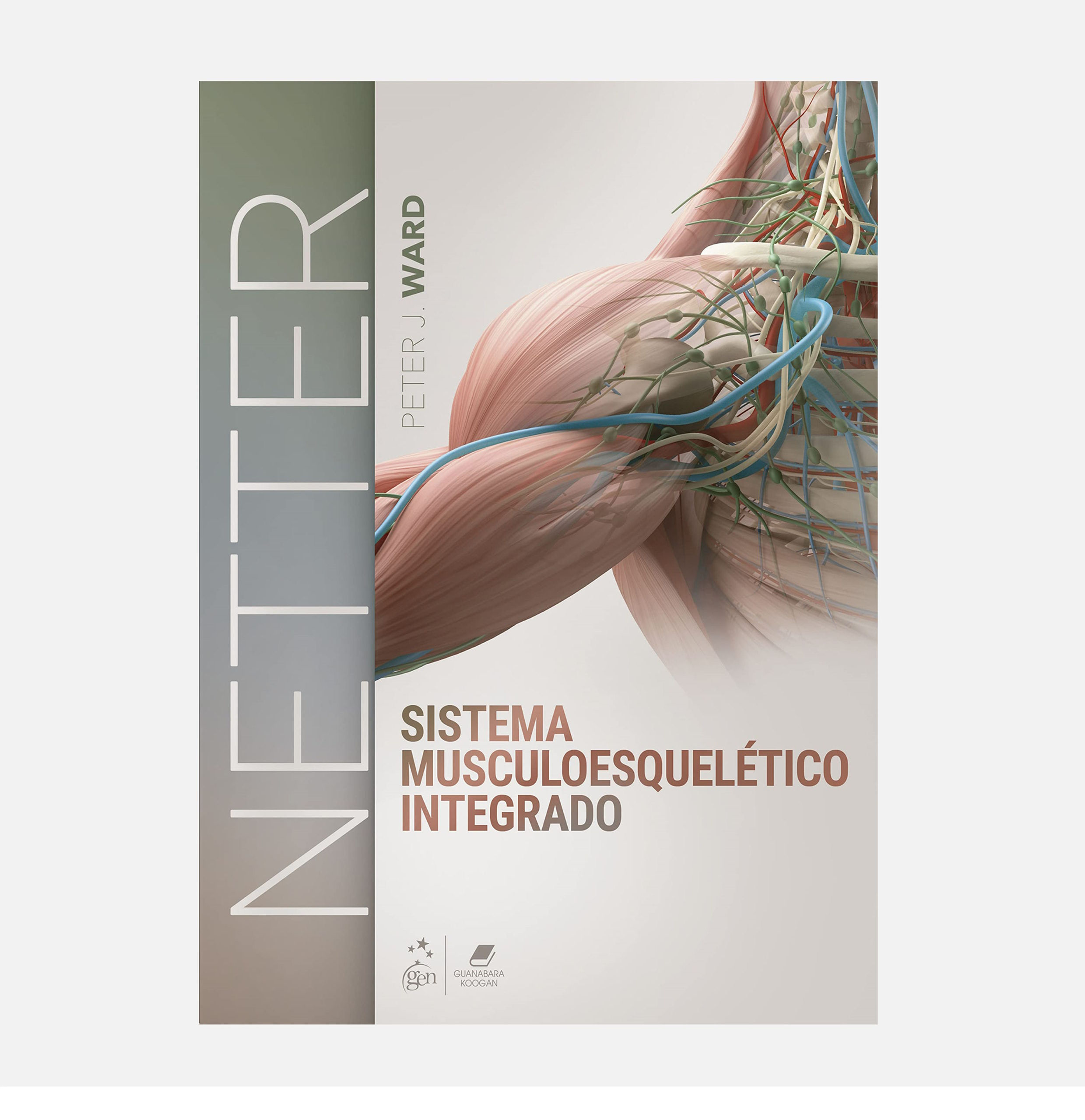 Netter Sistema Musculoesquelético Integrado - Peter J. Ward