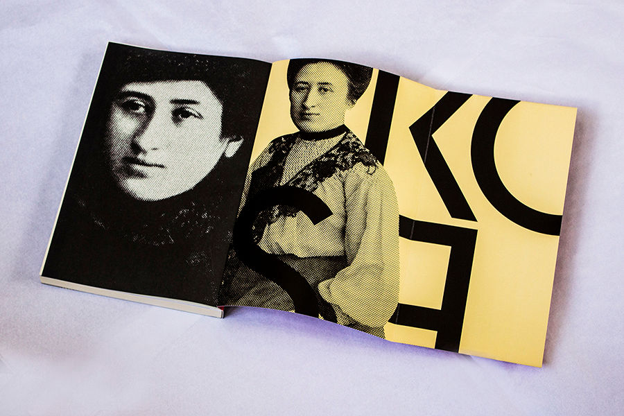 Miniatura: Rosa Luxemburgo - Pensamento e Ação: Biografia - Paul Frölich