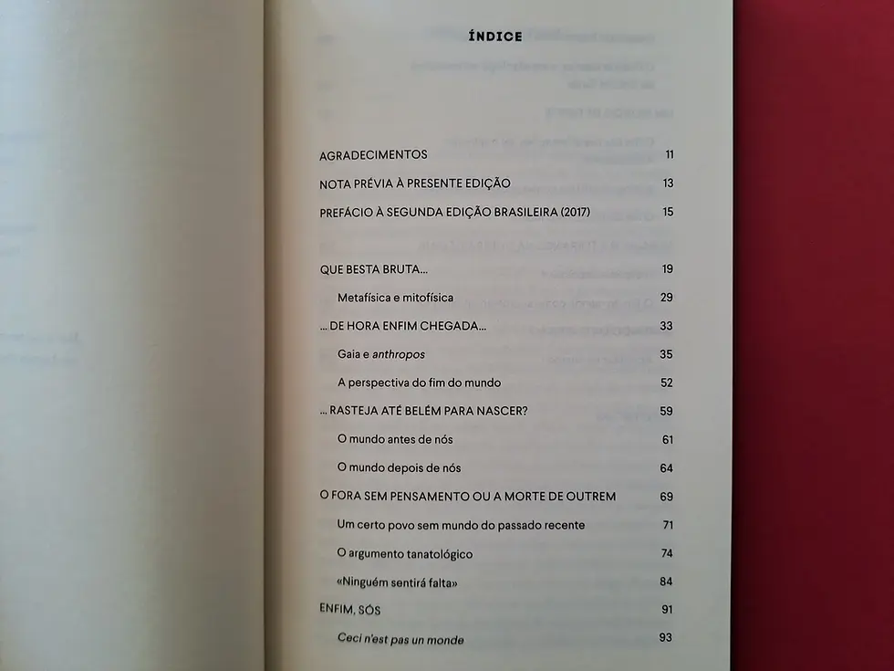 Miniatura: Há Mundo por Vir? : Ensaio sobre os Medos e os Fins - Déborah Danowski