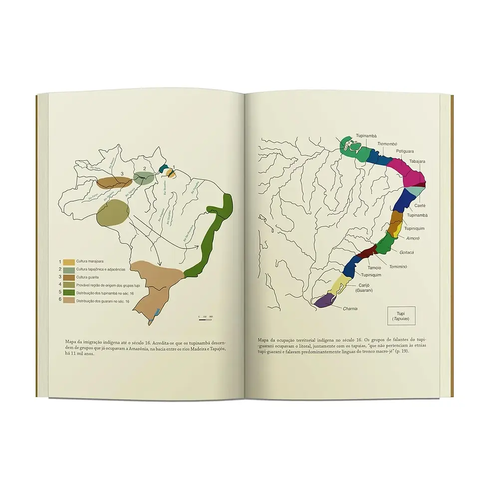 Miniatura: Meu destino é ser onça - Alberto Mussa