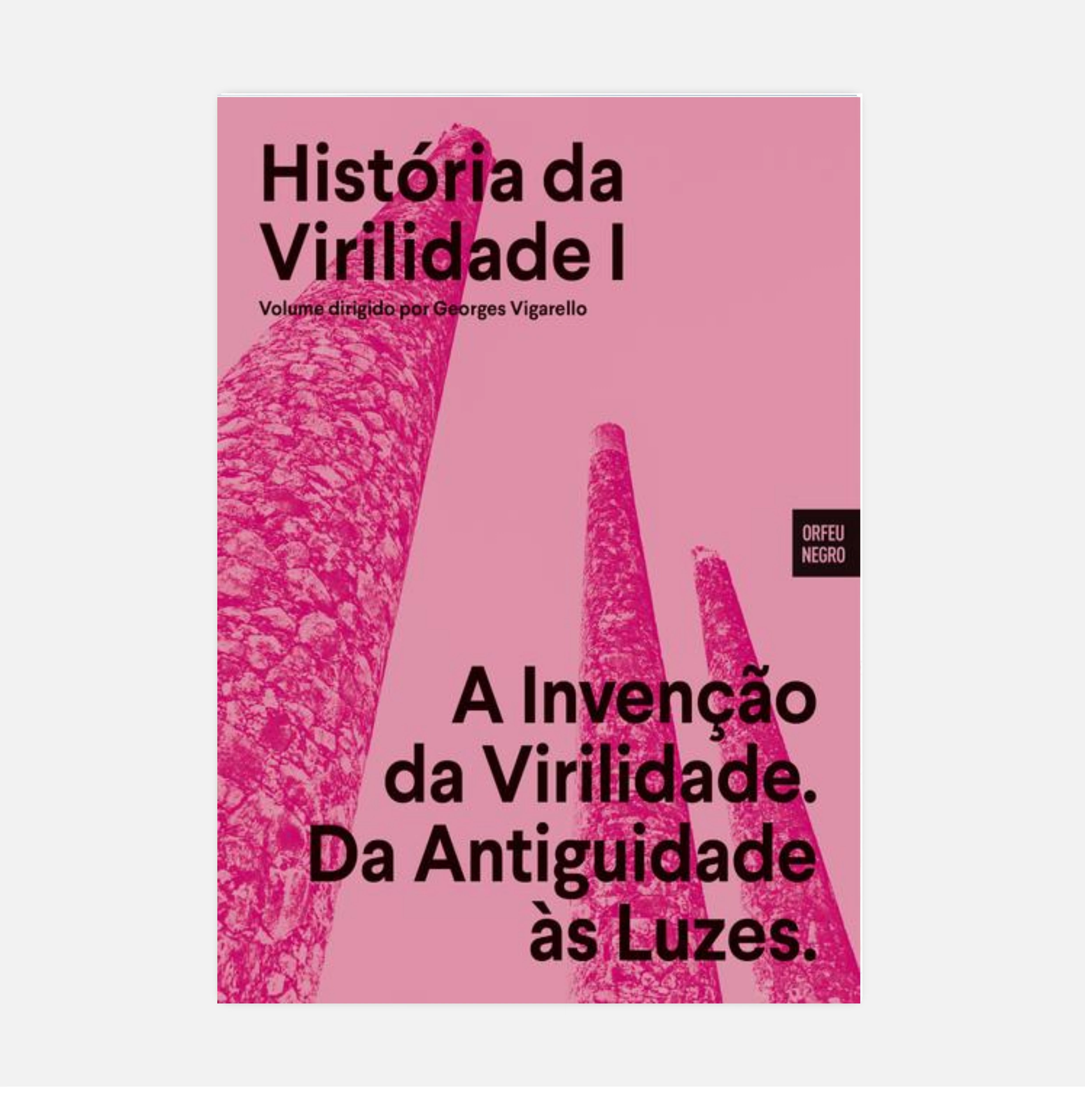 História da Virilidade 1 : A Invenção da Virilidade. - GEORGES VIGARELLO (ORG.)