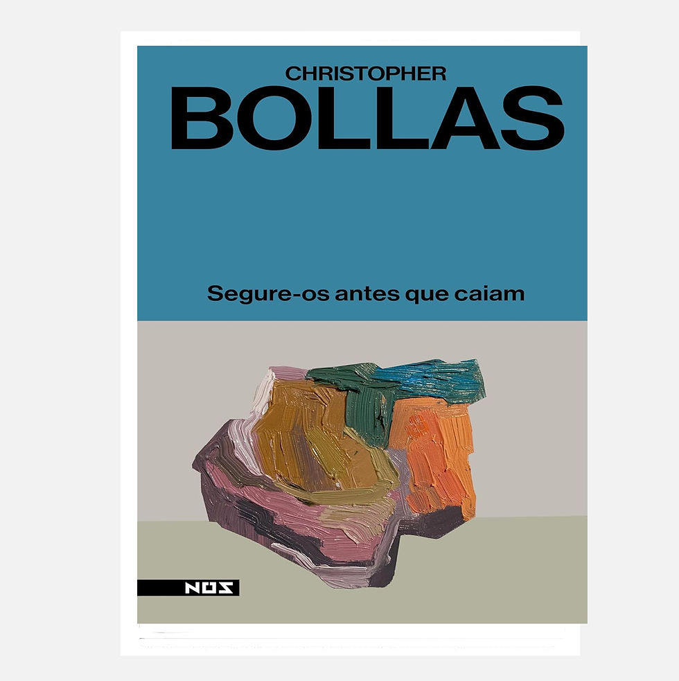 Segure-os antes que caiam - Christopher Bollas