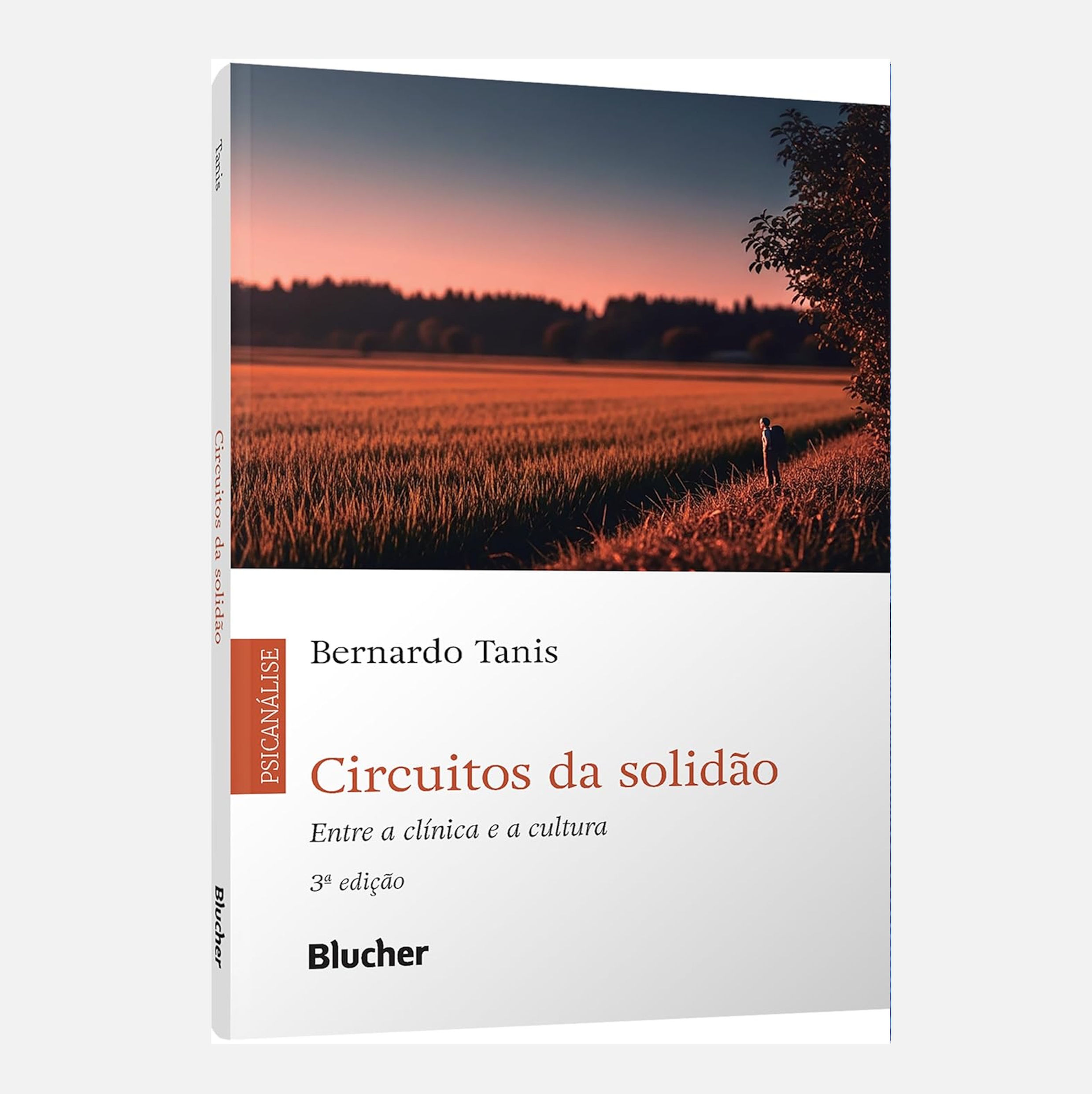 Circuitos da solidão: entre a clínica e a cultura - Bernardo Tanis