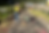 c819348b-e920-4b47-bbaf-57e9b33b76b8_edited_edited.png