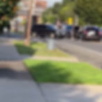 IMG_1317.jpeg