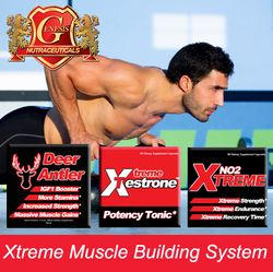 Muscle System Banner