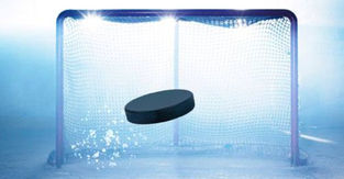 Match de hockey sur glace, les inscriptions sont ouvertes !