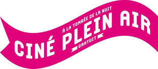 Eté 2017 : séances de cinéma plein air gratuites en pays viennois et roussillonnais