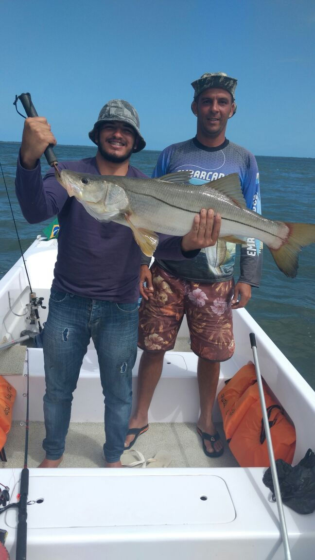 Robalo
