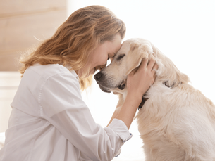 What Is Pet Insurance And How Does It Work?