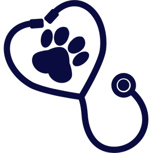 MooPet Pet Insurance Best Pet Insurance in the UAE. vet icon, stethescope and paw icon.