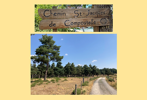 Chemins 1.PNG