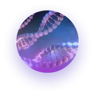 Celule2