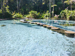 IMG20220729090306.jpg