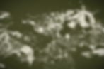 circle black and white_edited.jpg
