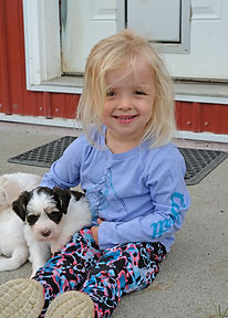 2020-09-27 Mia Min Schnauzer M4727 2 Jon
