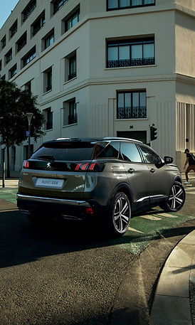 PEUGEOT_3008_2020_021_FR_GRIS_PLATINUM_N_3008_GRIFFE_edited.jpg