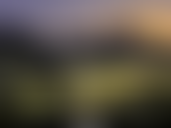 Reforma al Poder Judicial Genera Inquietud en BBVA por Caída en Ganancias