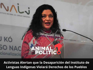 Activistas Alertan que la Desaparición del Instituto de Lenguas Indígenas Violará Derechos de los Pueblos