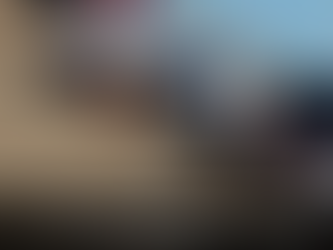 Tiburón Ataca a Personas en Isla del Padre, Texas