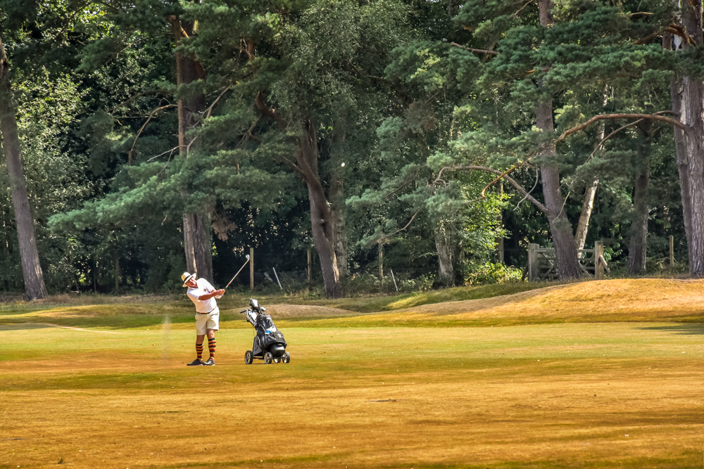 Worplesdon -6037