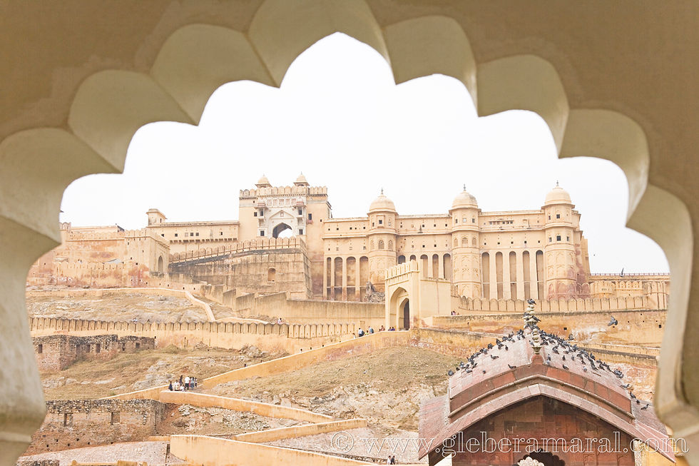 JAIPUR 02