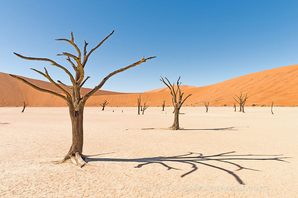 DEADVLEI 02