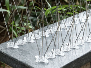 Bird Spikes