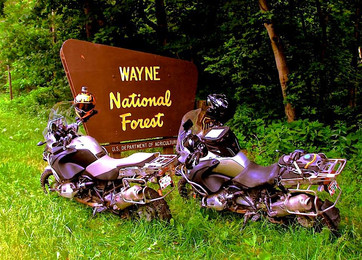 Wailin Wayne Weekend