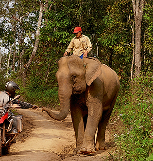 Africa Motorcycle Tours