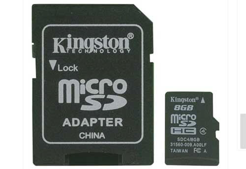 Stinger HORIZON10 iGo Navigation Card