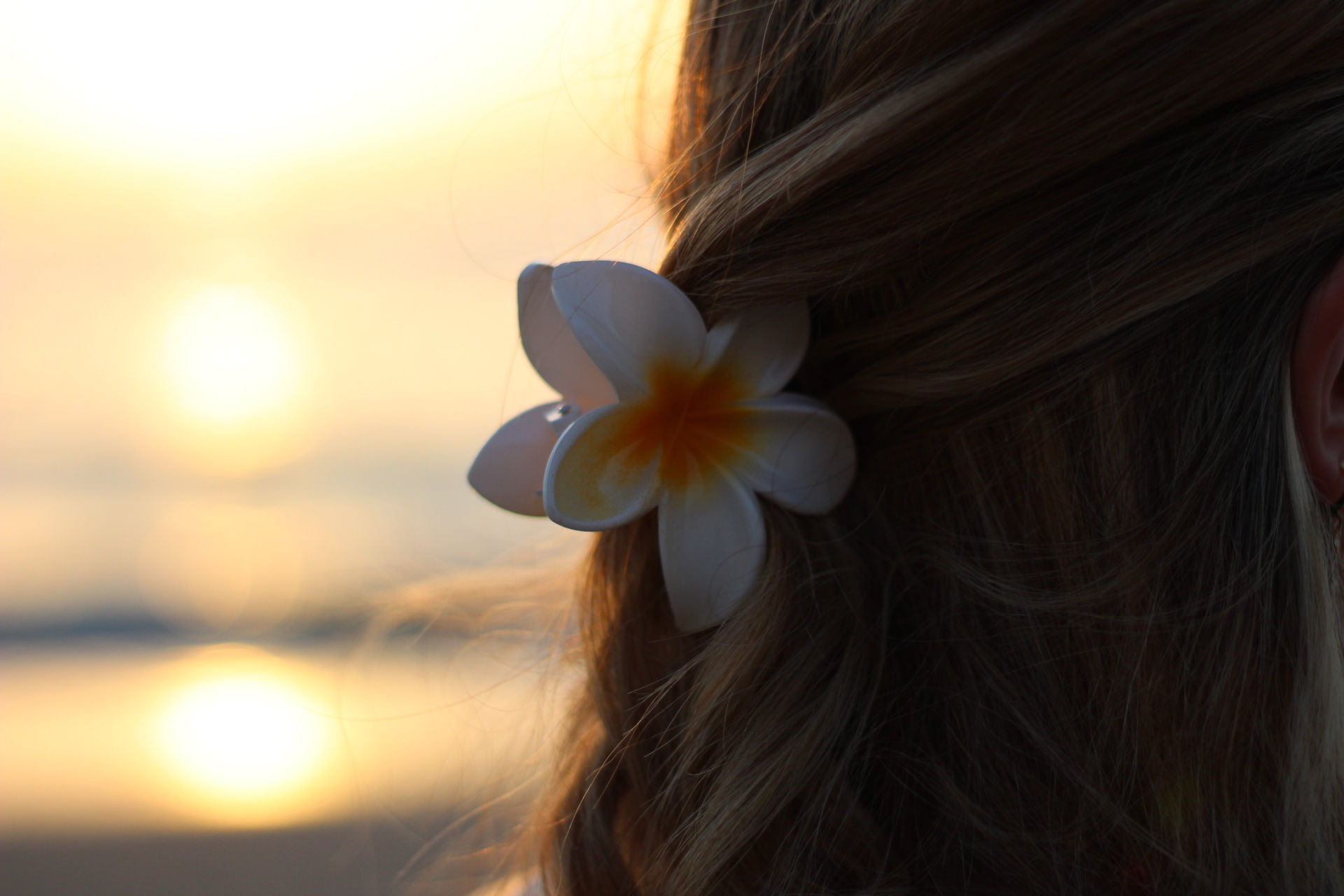 קליפס פרח לשיער