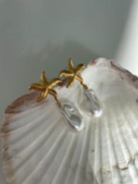 Eliana earrings || 14k gold plated
